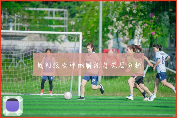 裁判报告详细解读与深层分析