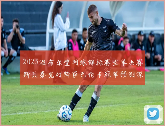 2025温布尔登网球锦标赛女单决赛斯瓦泰克对阵萨巴伦卡冠军预测深度解析