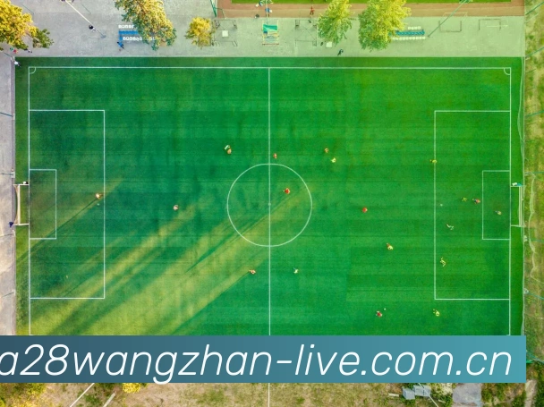对战数据统计